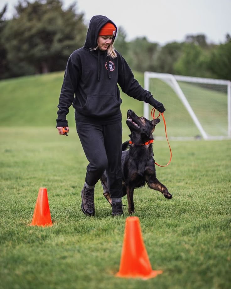 Beverly Hills Dog Trainers for Obedience and Agility