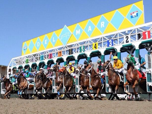 Dutching for Dollars: Guaranteeing a Profit with Multiple Horses