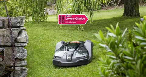 Maintaining Your Auto Lawn Mower: Tips and Tricks