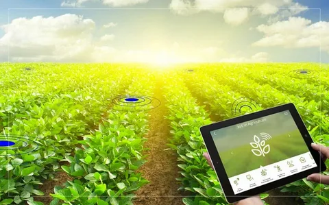 Smart Agriculture Sensors: Monitoring Soil, Water, and Crops