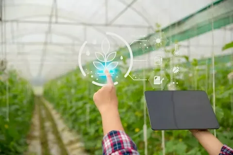 Boosting Crop Yields with Smart Agriculture Systems